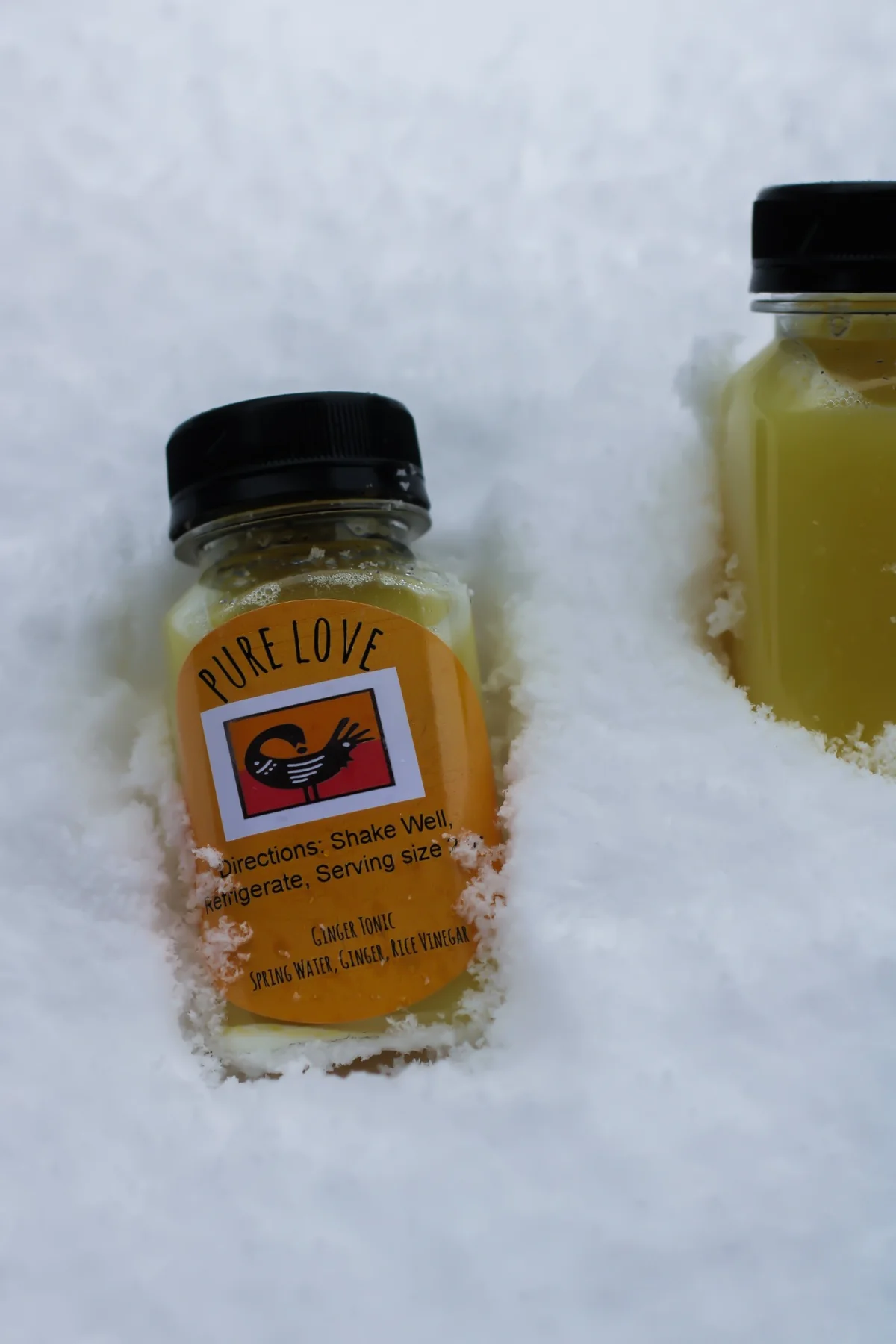 Pure Love Pantry ginger tonic chilled in snow